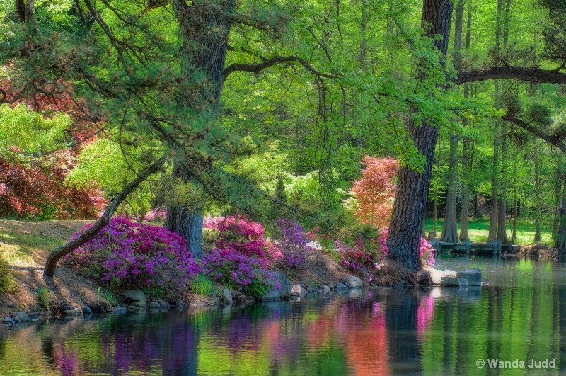 Maymont Gardens - Spring - ID: 13827697 © Wanda Judd