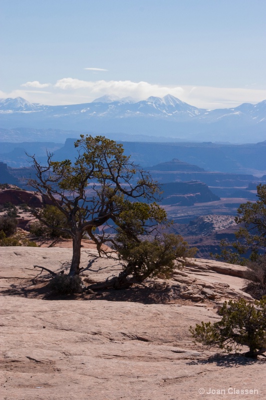 Utah Landscape