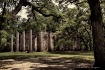 Sacred Ruins