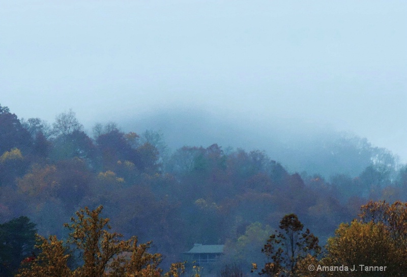 Misty Morning 