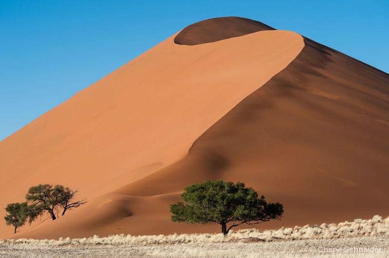 Sand Dune 1210