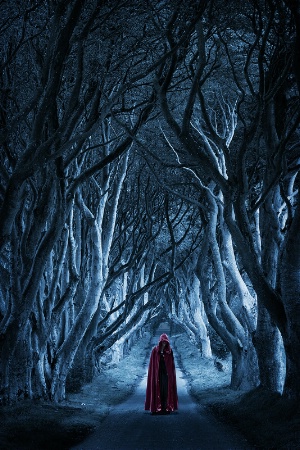 Dark Hedges