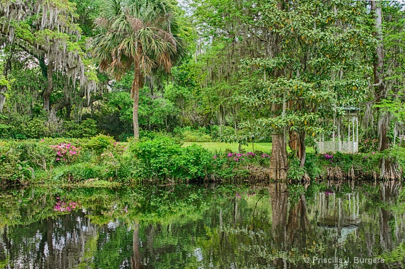 Magnolia Plantation and Gardens