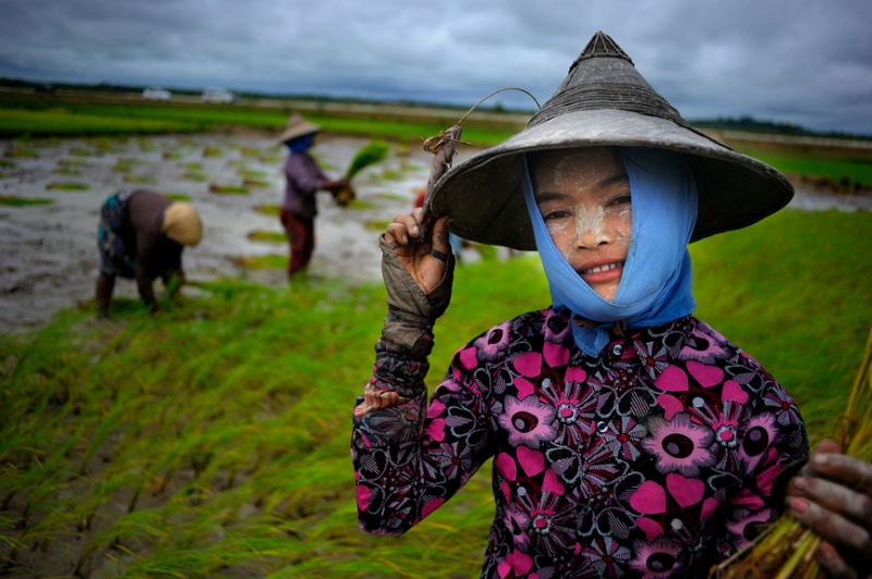Burmese lady - ID: 13833230 © Kyaw Kyaw Winn