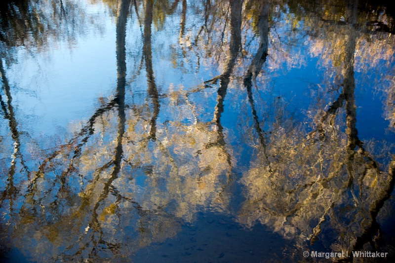 Beaver Creek Reflection - ID: 13844277 © Margaret Whittaker Reniker