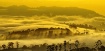 Tablelands fog
