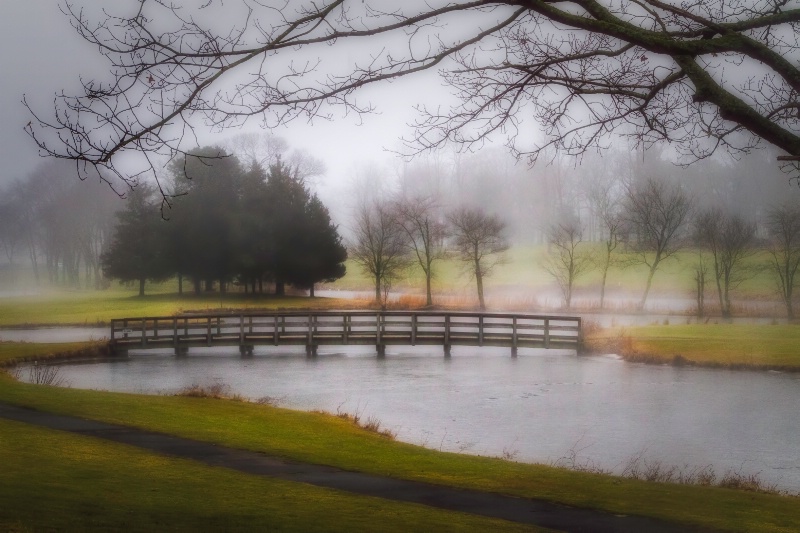 Foggy Morning At Spring Lake