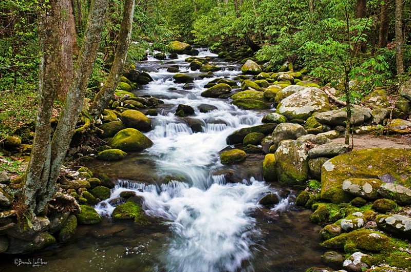 Smopkey Mountain National Park