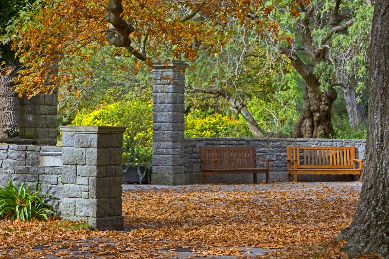 Autumn in the Park