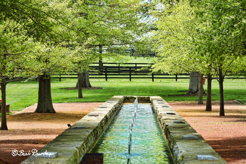 Horse drinking trough at Gainesway Farms