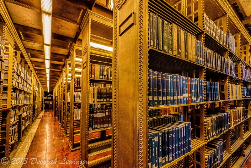 Stacks at NY Public Library - ID: 13858904 © Deborah C. Lewinson