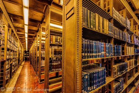 Stacks at NY Public Library