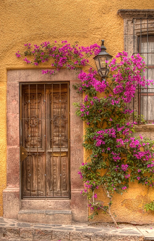 San Miguel door