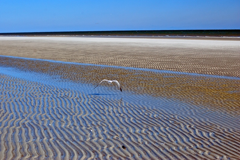 Sand Ripples