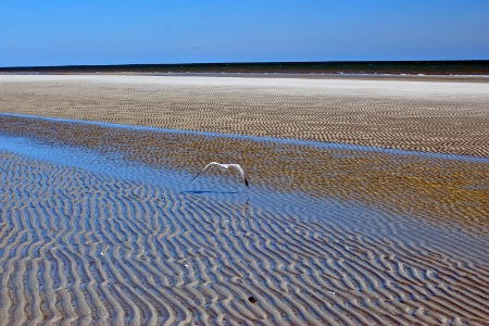 Sand Ripples