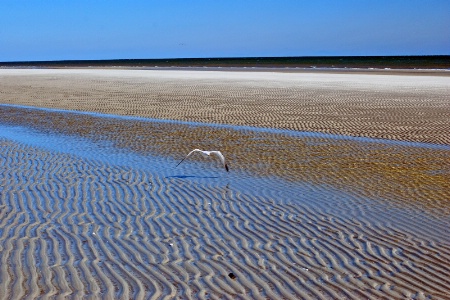 Sand Ripples