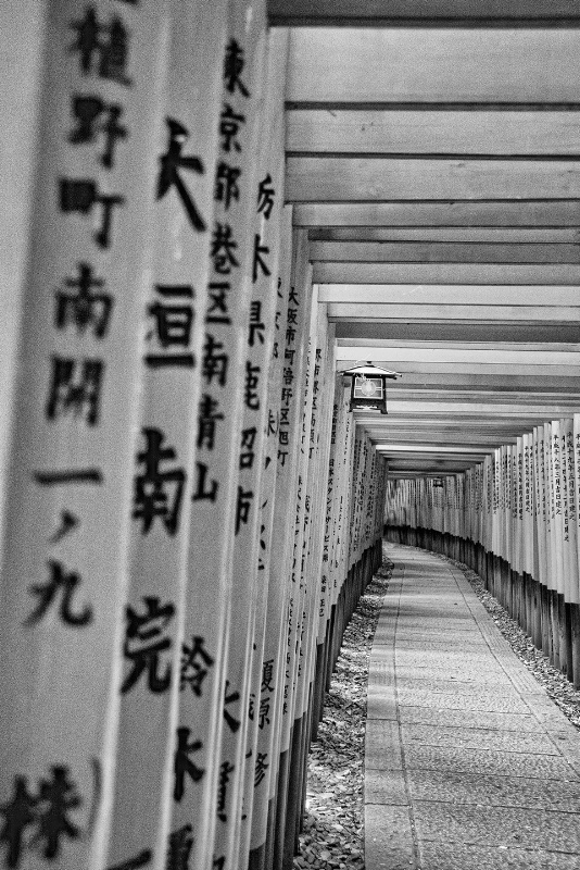 Fushimi Inari in Black and White