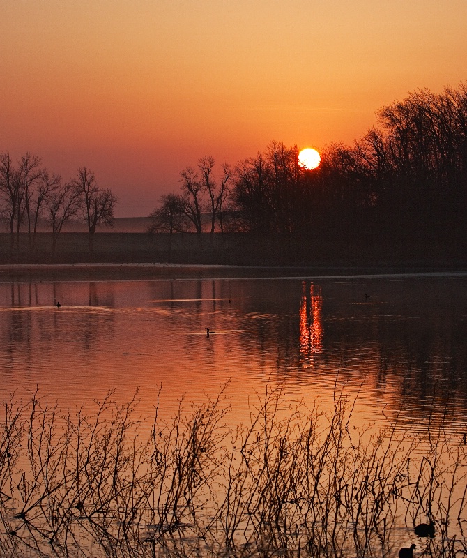 Swan Lake Sunrise