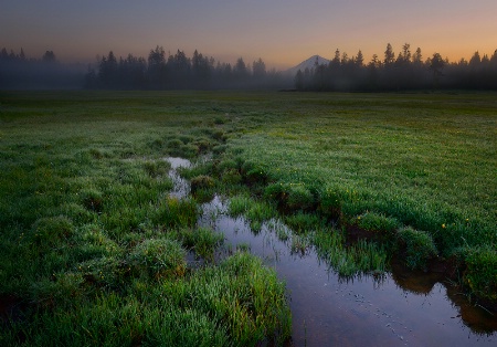 A Spring Field