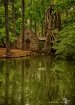 The Old Mill 