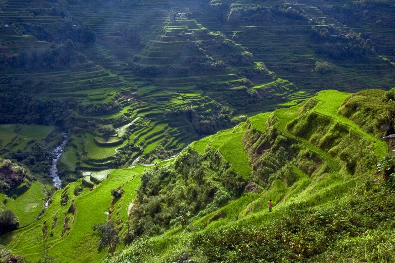 Solitude in the Banauwe Rice Terraces