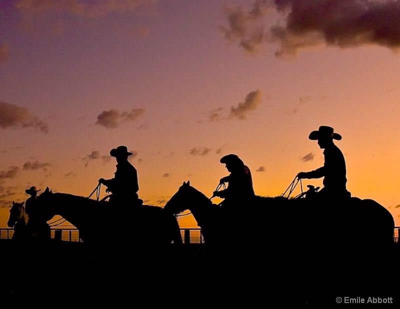 Four Amigos at dawn - ID: 13871144 © Emile Abbott