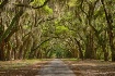 Wormsloe Plantati...