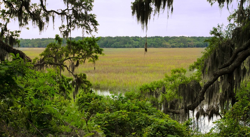 Moon River Marsh