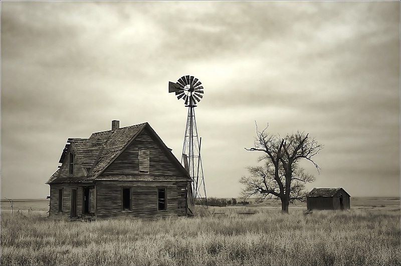 ~ OLD HOMESTEAD ~