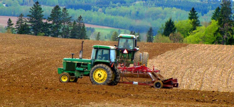 Farming in the county