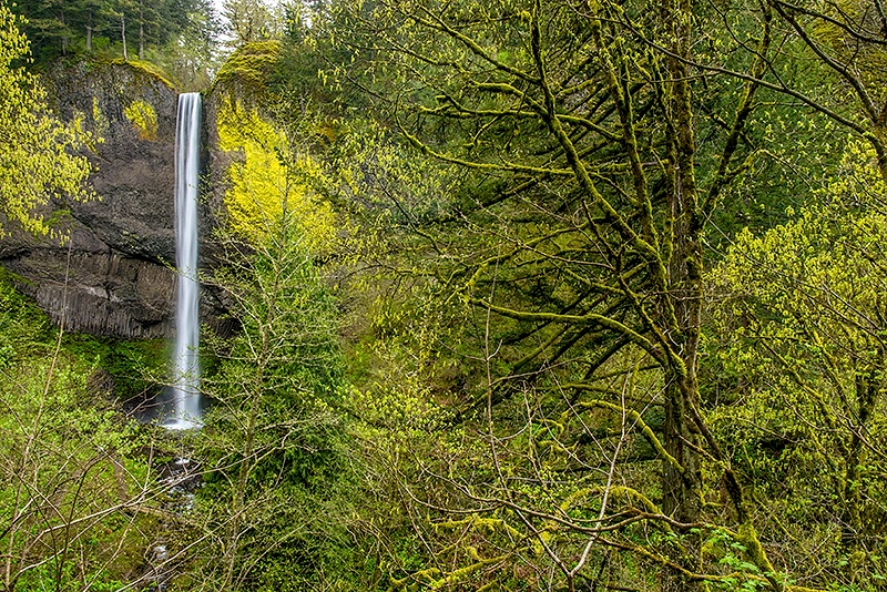 LaTourell Falls