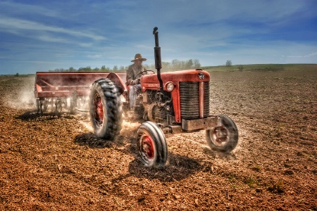 Planting Soybeans