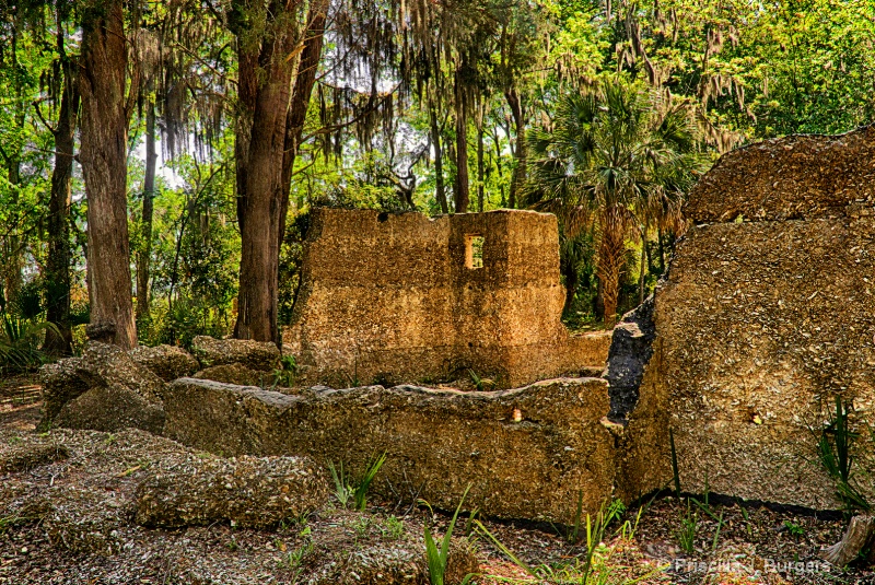 Wormsloe Plantation Ruins