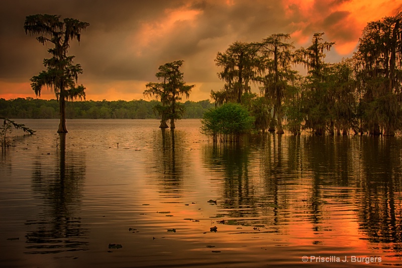 Sunset at Lake Martin