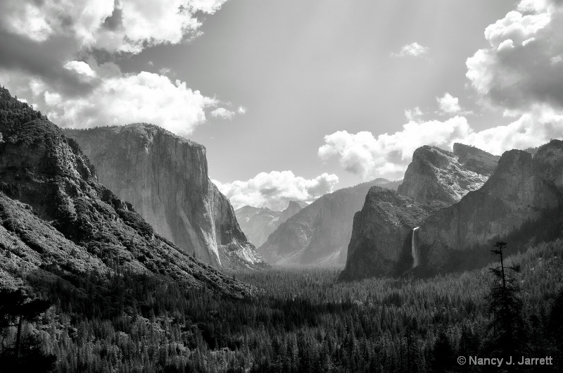 Yosemite in Black and White