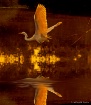 Sundown Flight