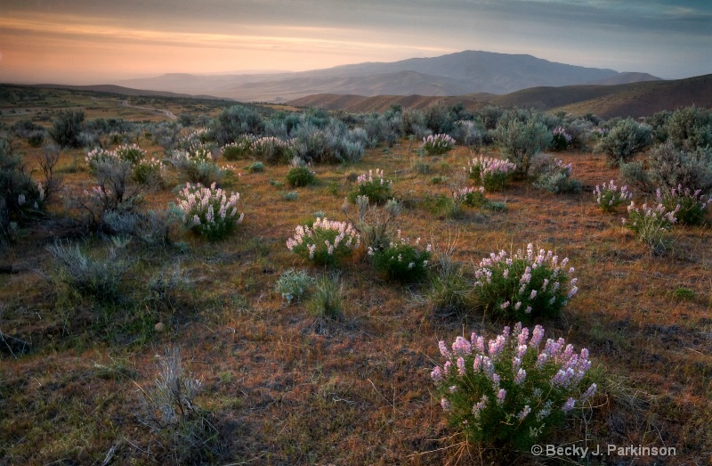 Springtime Sunset Over the Boise Valley