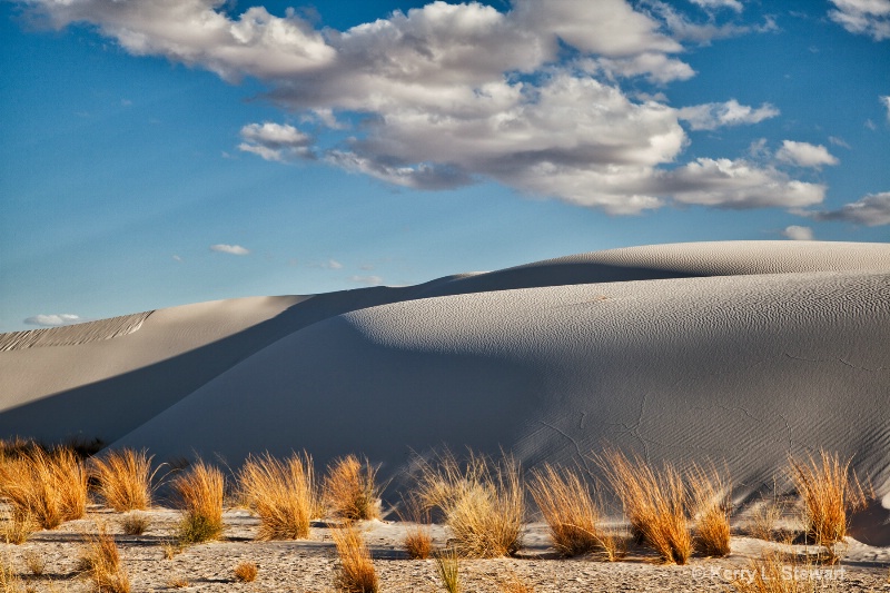 Encroaching Dunes - ID: 13885334 © Kerry L. Stewart