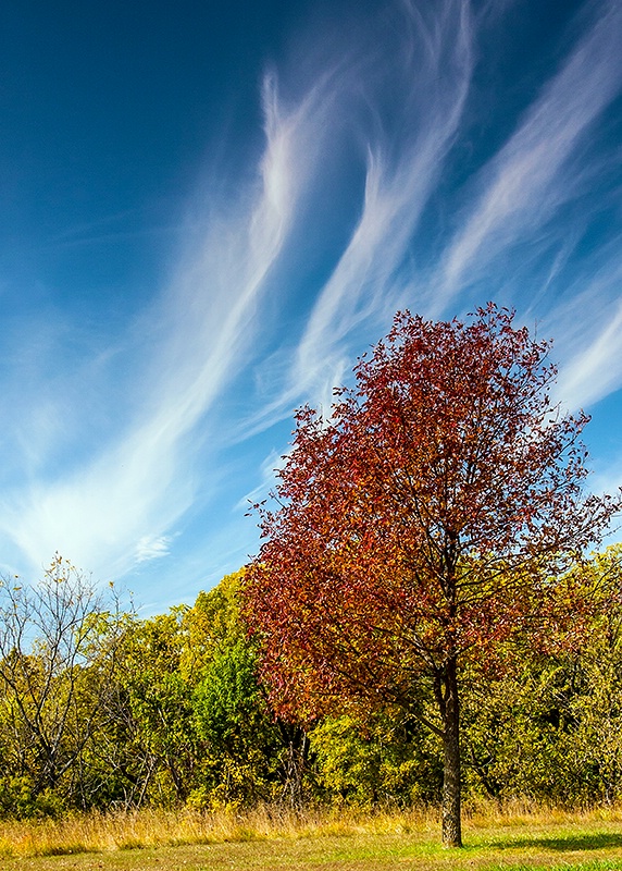 High Clouds