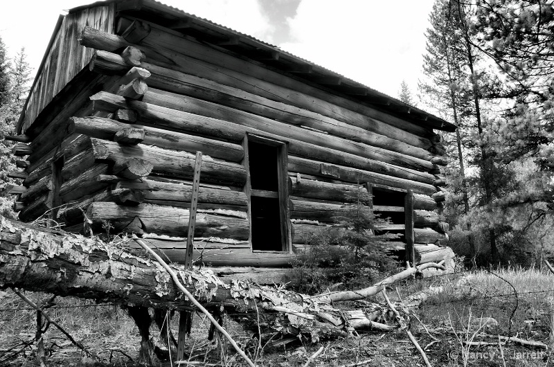 Abandoned Cabin Conner Montana