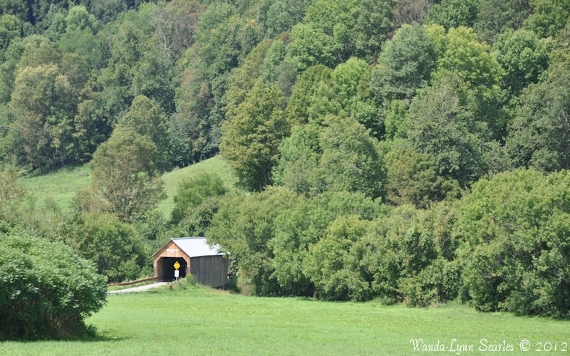 Cover Bridge In The Valley