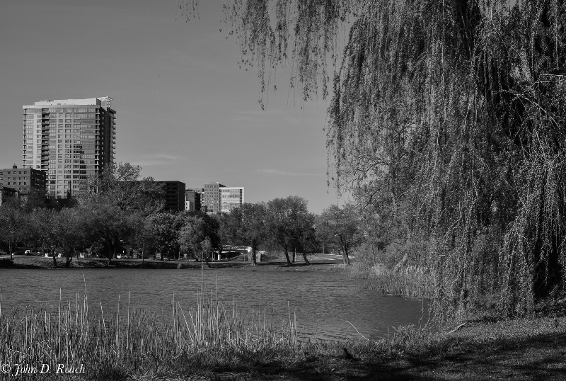 View from the Lagoon -- in Camera B & W