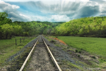 Long Twin Silver Lines