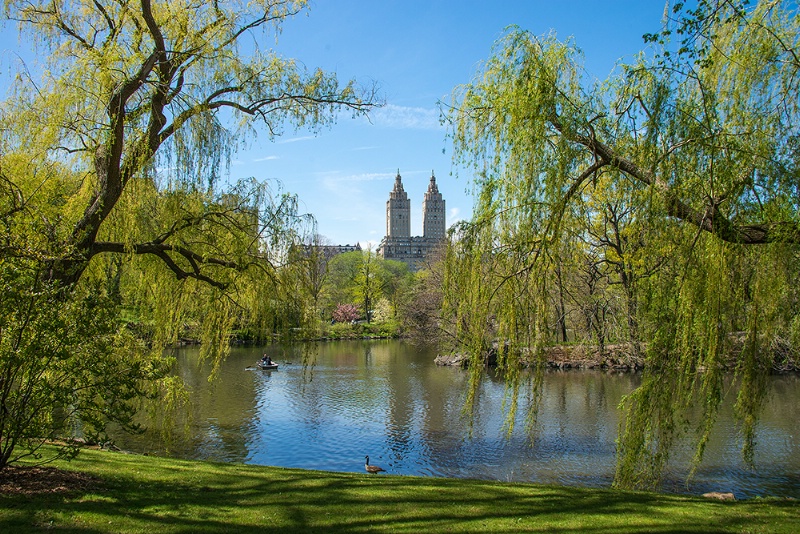 Central Park New York City