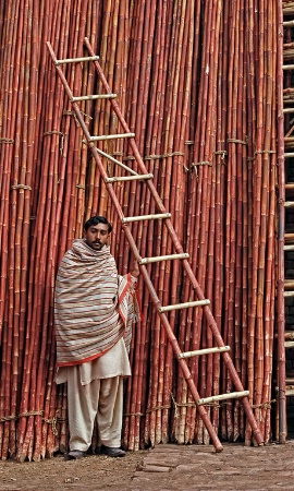 The Ladder Man