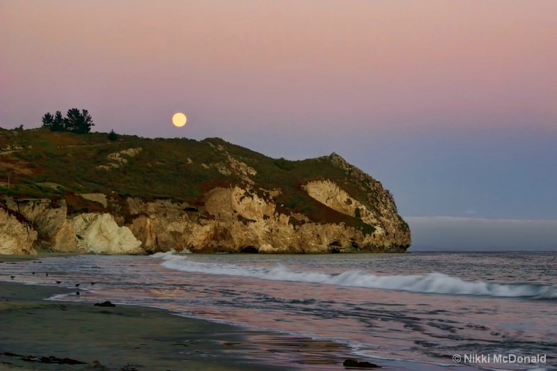 Moonlight at Avila Beach