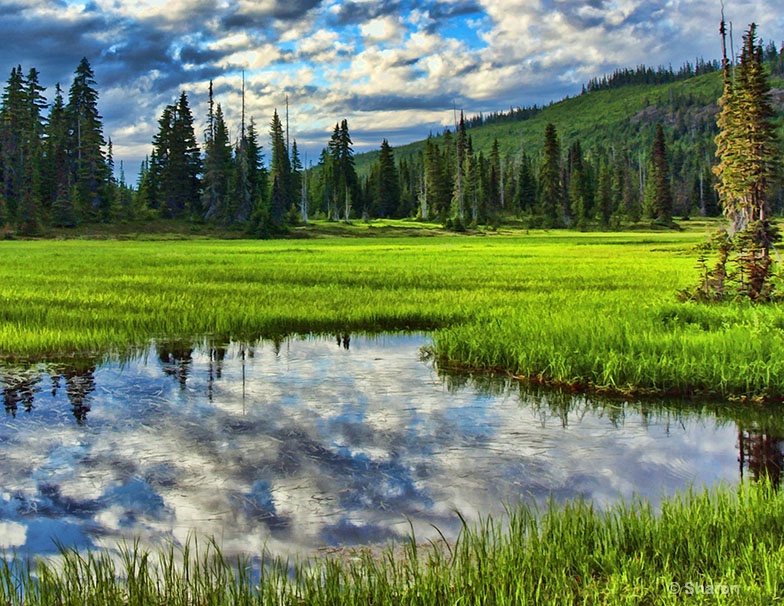 Paradise Meadows