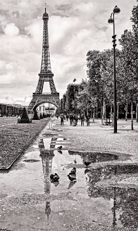 Revisiting Paris