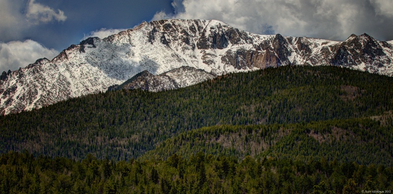 Rocky Mountain Treeline