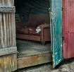 A Couch of His Ow...